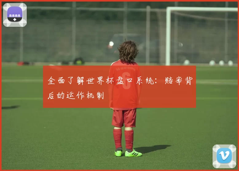 全面了解世界杯盘口系统：赔率背后的运作机制