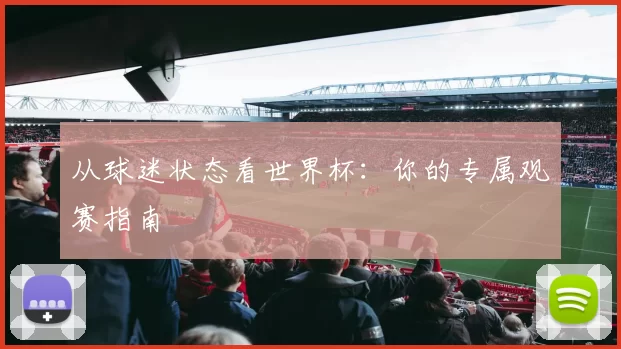从球迷状态看世界杯：你的专属观赛指南
