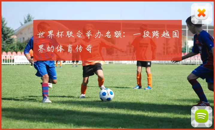 世界杯联合举办名额:一段跨越国界的体育传奇