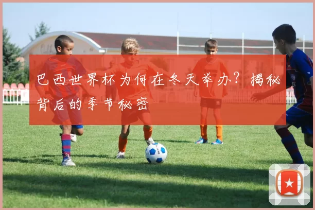 巴西世界杯为何在冬天举办？揭秘背后的季节秘密
