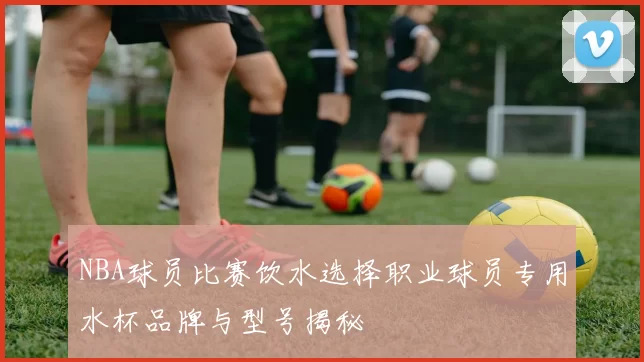 NBA球员比赛饮水选择职业球员专用水杯品牌与型号揭秘