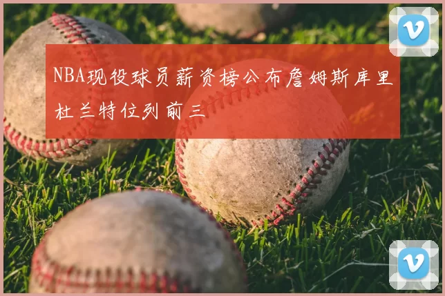 NBA现役球员薪资榜公布詹姆斯库里杜兰特位列前三