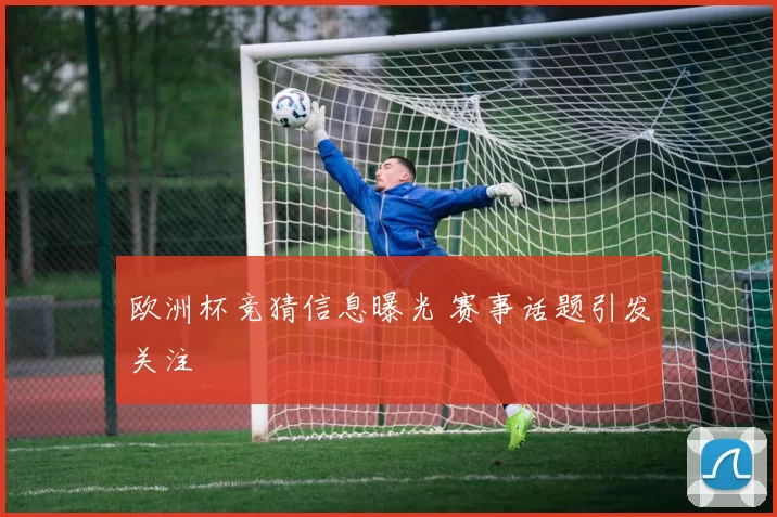 欧洲杯竞猜信息曝光 赛事话题引发关注