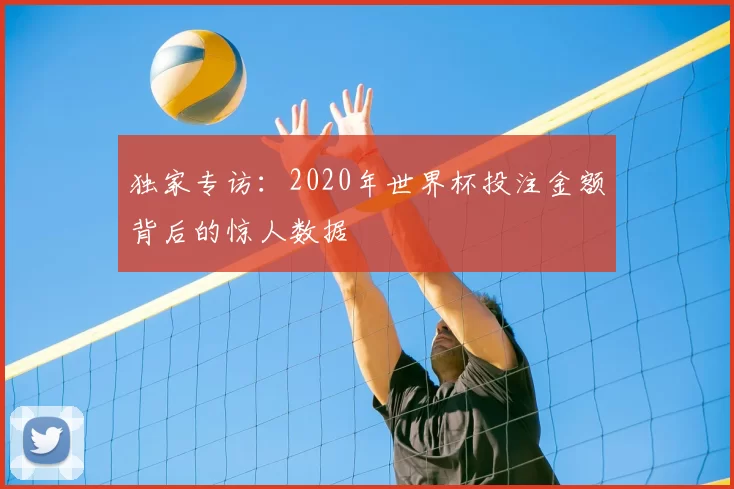 独家专访：2020年世界杯投注金额背后的惊人数据
