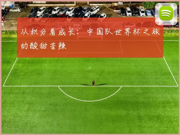 从积分看成长：中国队世界杯之旅的酸甜苦辣