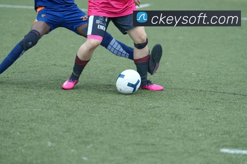 App Interface Preview